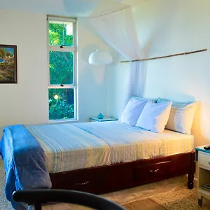 https://moonlight-beach-studio-montego-bay-club.comcaribbean.com